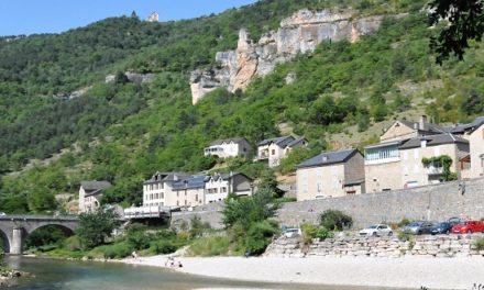 Les Vignes