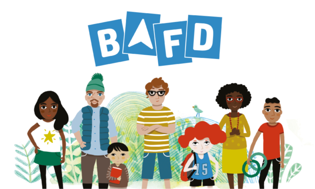 BAFD formation perfectionnement – RAE
