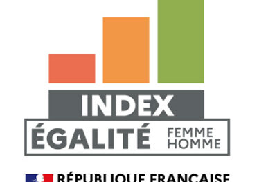 Index égalité femmes-hommes pour l’année 2024