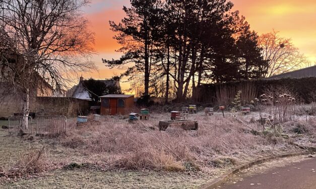 ❄️🌡️un magnifique lieu pour grandir ! 🌡️❄️