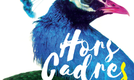 Affiche Festival Hors Cadres, 1ère édition