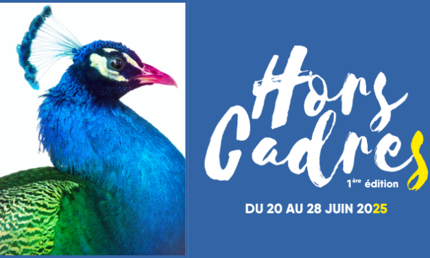 Festival Hors Cadres