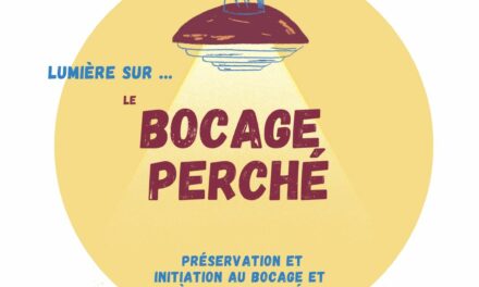 Présentation de l’association Le Bocage Perché