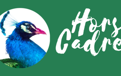 Festival Hors Cadres 2026