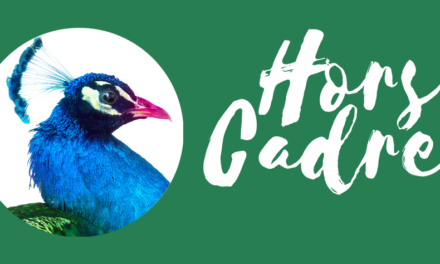 Festival Hors Cadres 2026