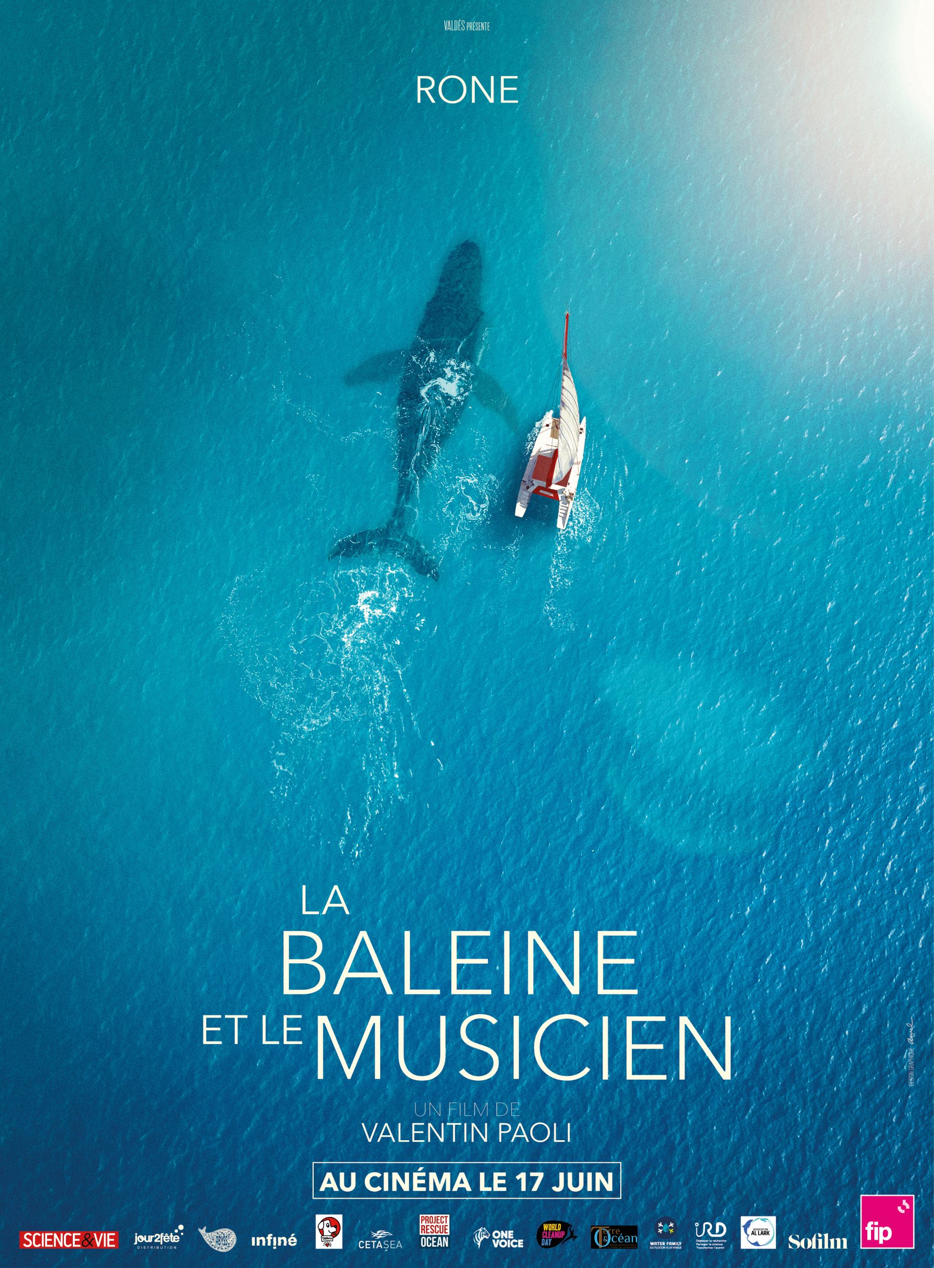 LA BALEINE ET LE MUSICIEN